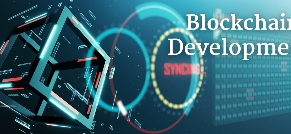 The Developer’s Guide to Blockchain Development